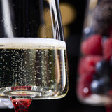 Concave Champagne Glasses - 9oz - POPvault