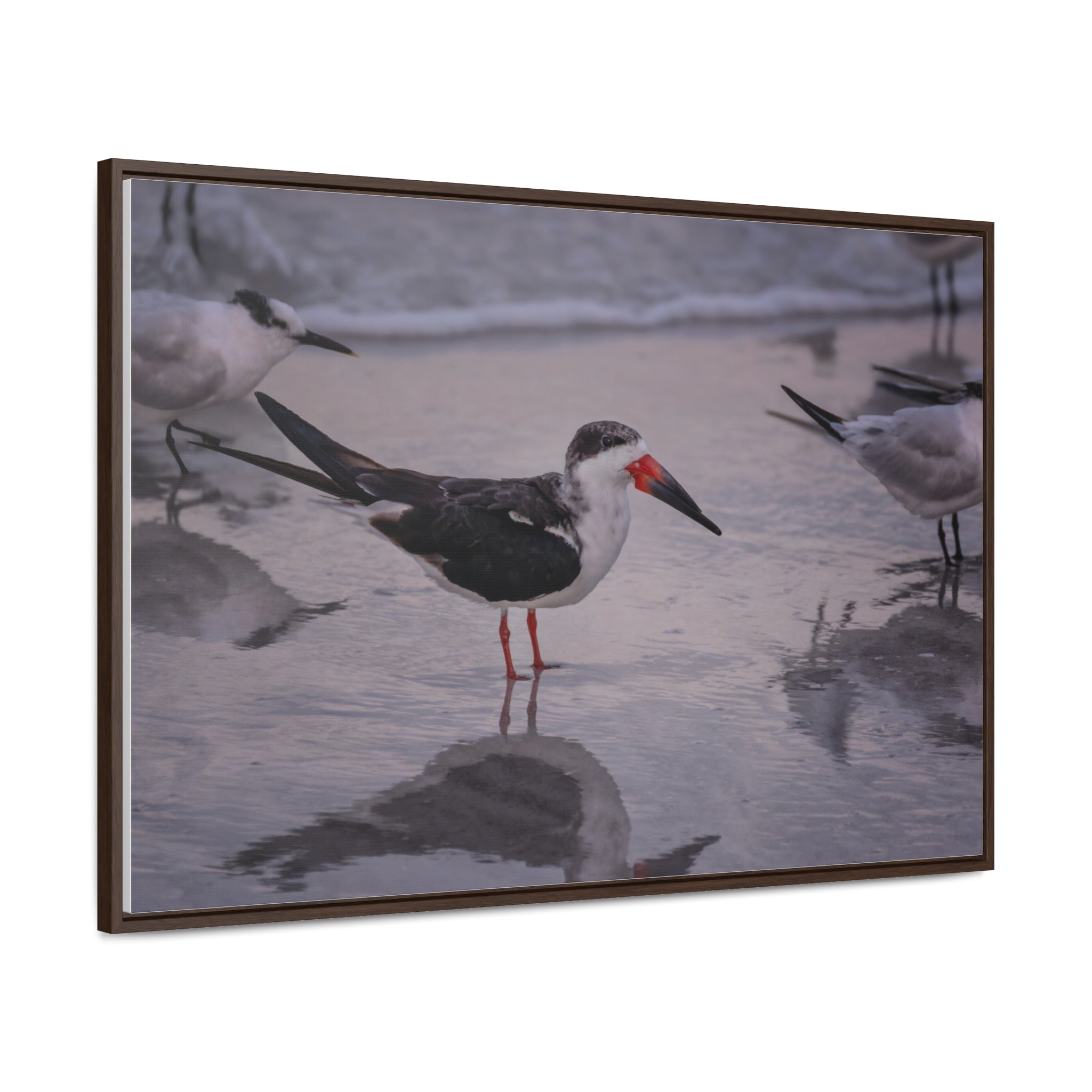 Custom Beach Life Vistas Beach Birds Gallery Canvas Wraps, Horizontal Wood Frame - POPvault