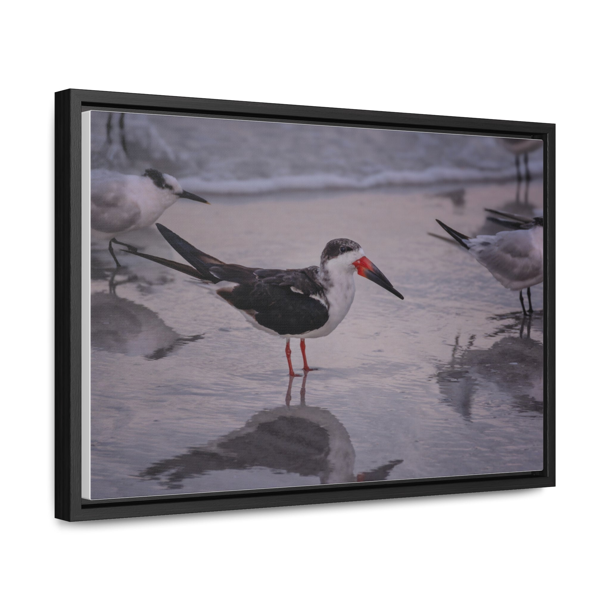 Custom Beach Life Vistas Beach Birds Gallery Canvas Wraps, Horizontal Wood Frame - POPvault