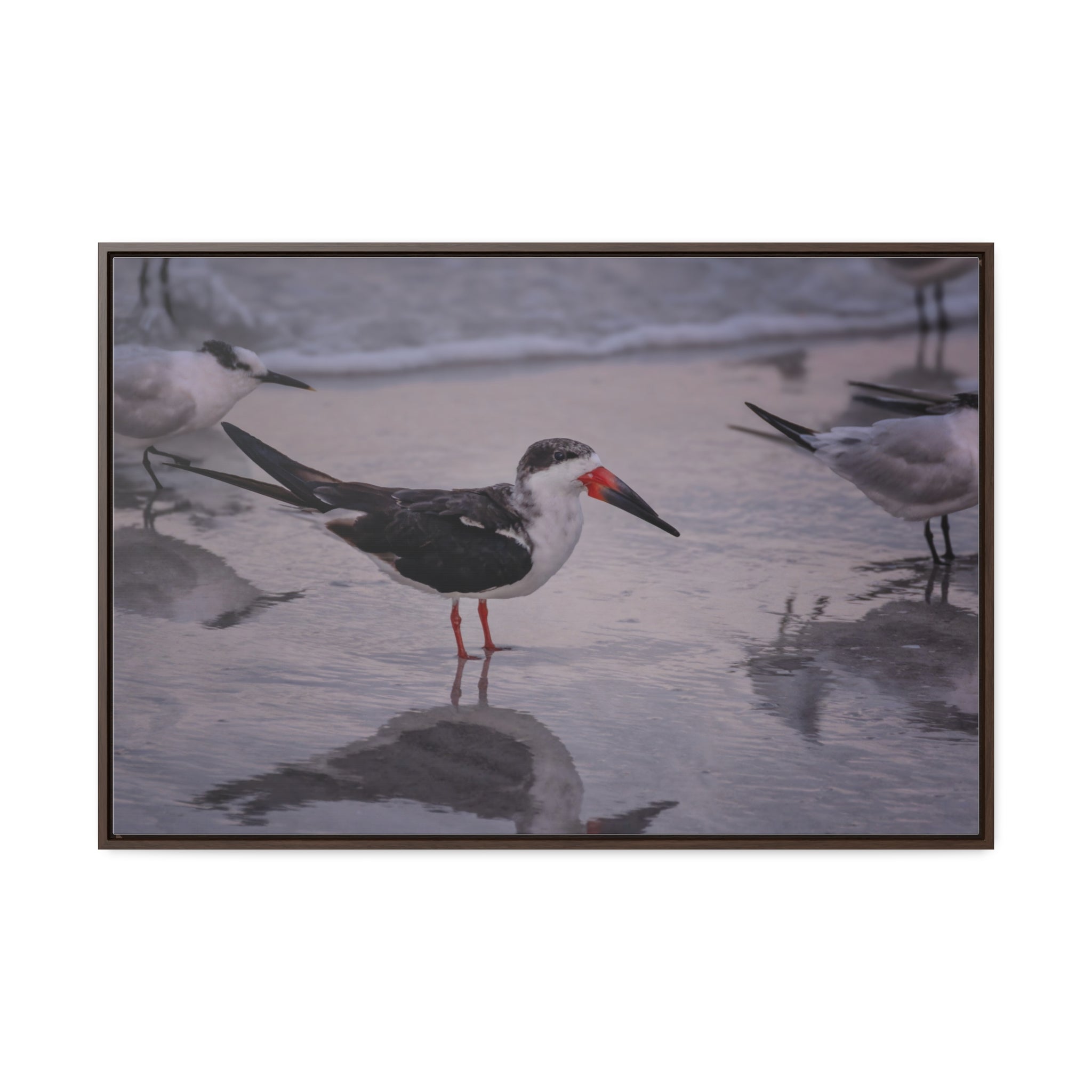 Custom Beach Life Vistas Beach Birds Gallery Canvas Wraps, Horizontal Wood Frame - POPvault