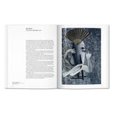 Dadaism (English)-POPvault