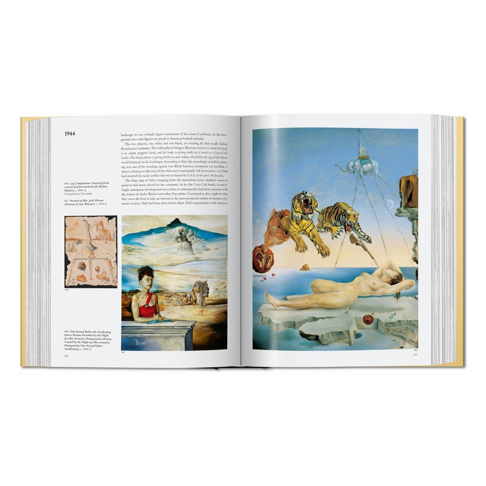 Dalí. The Paintings (English)-POPvault