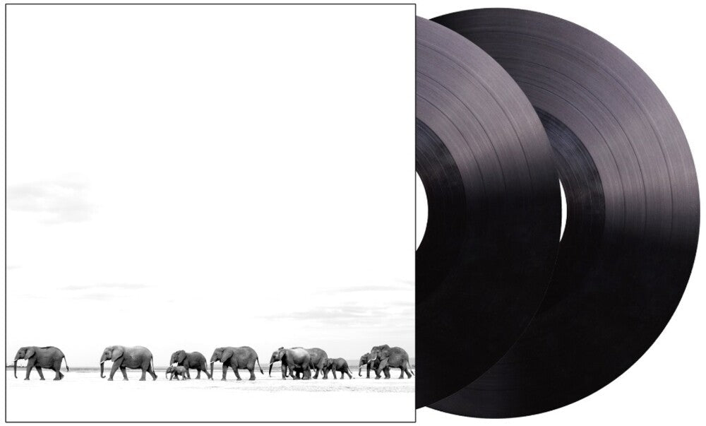 Dave Matthews Band - Where Are You Going: The Singles [LP] Vinyl Record - POPvault