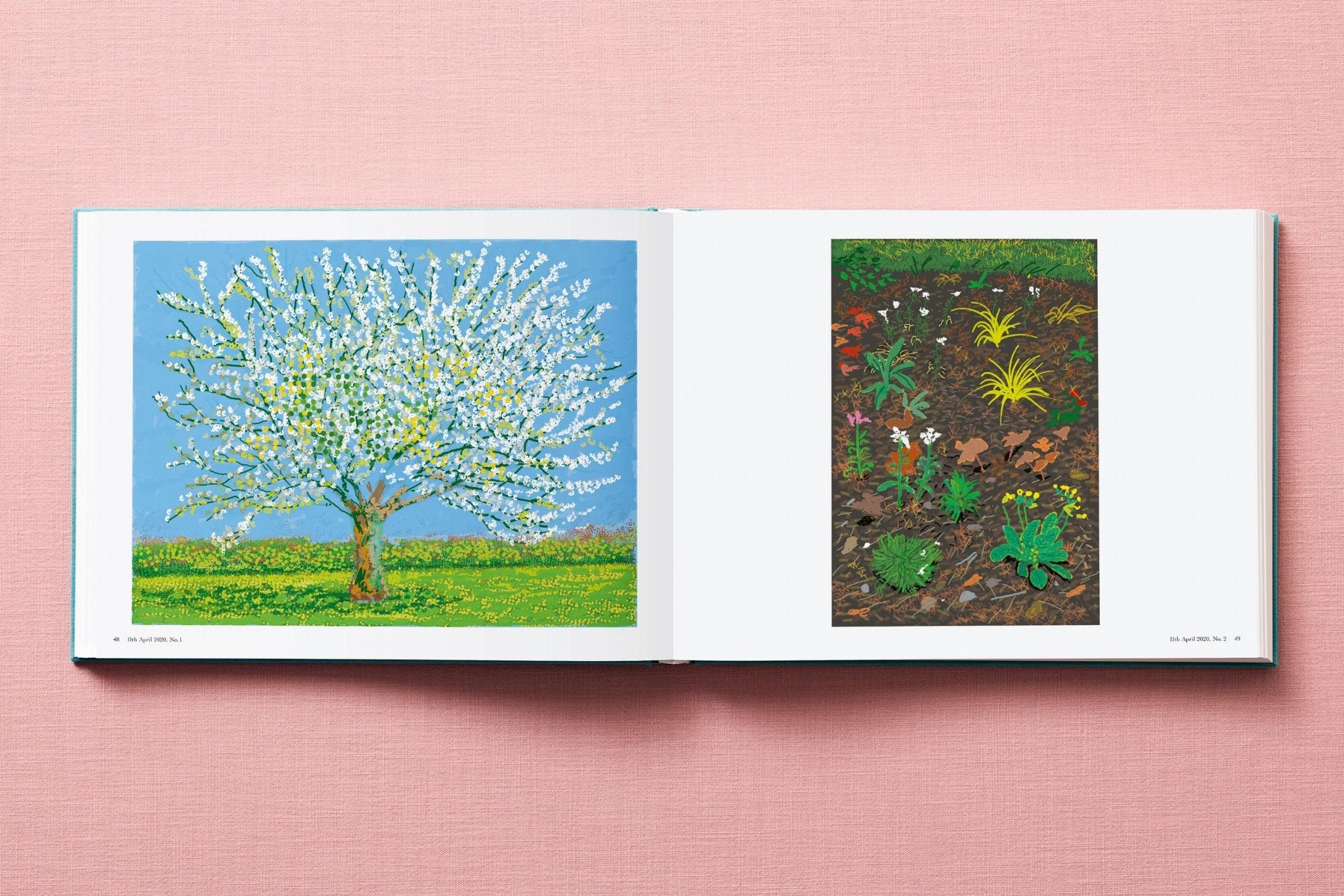 David Hockney. 220 for 2020 (English) - POPvault