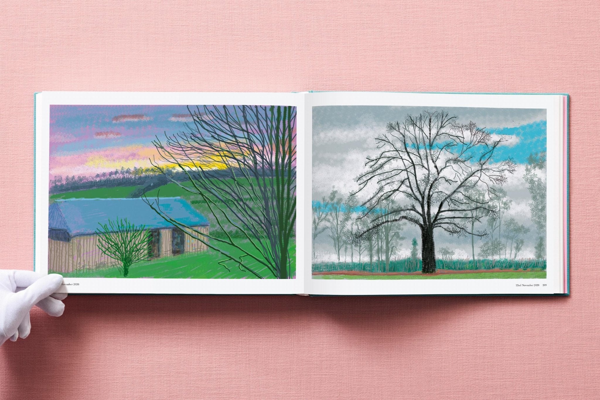 David Hockney. 220 for 2020 (English) - POPvault