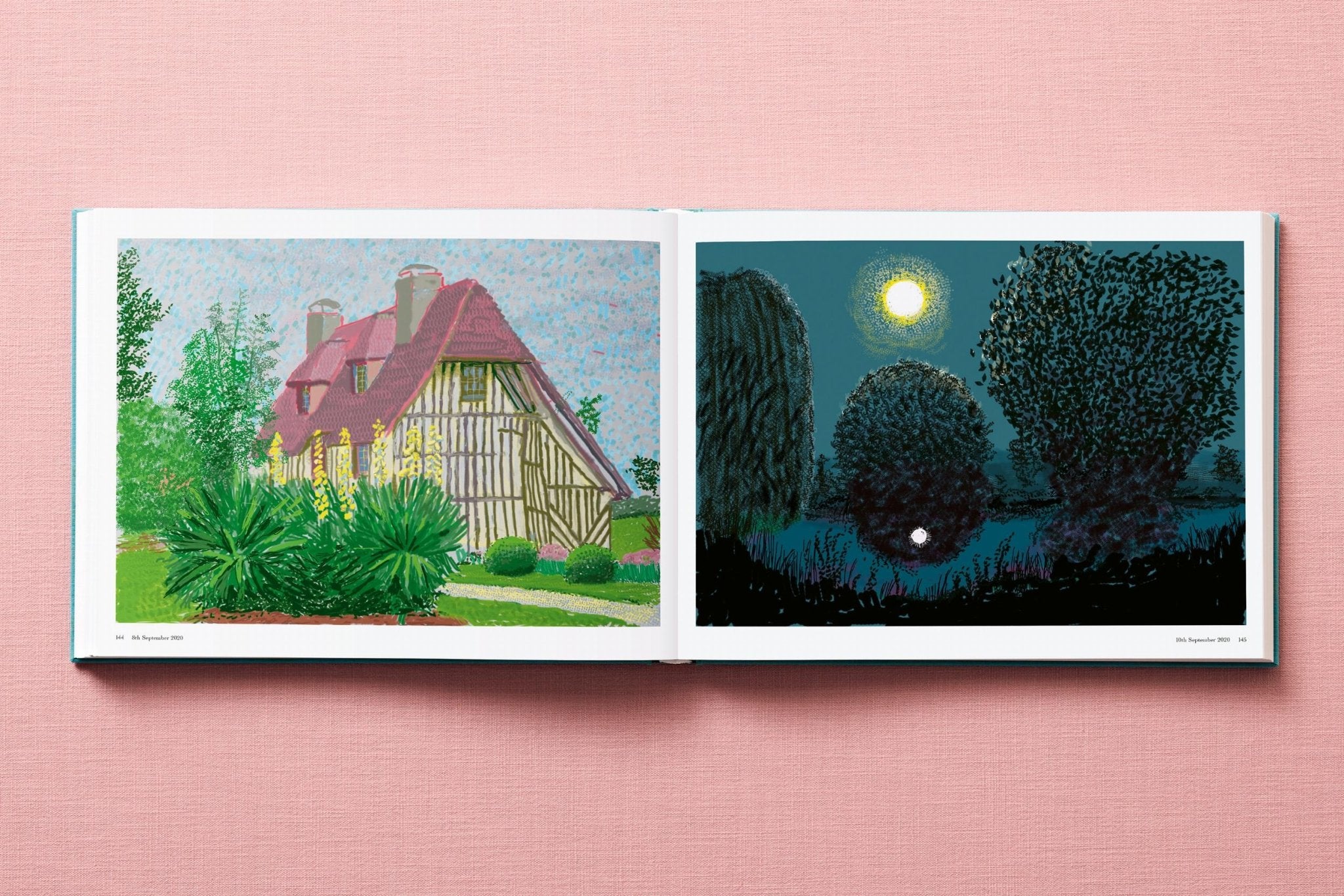David Hockney. 220 for 2020 (English) - POPvault