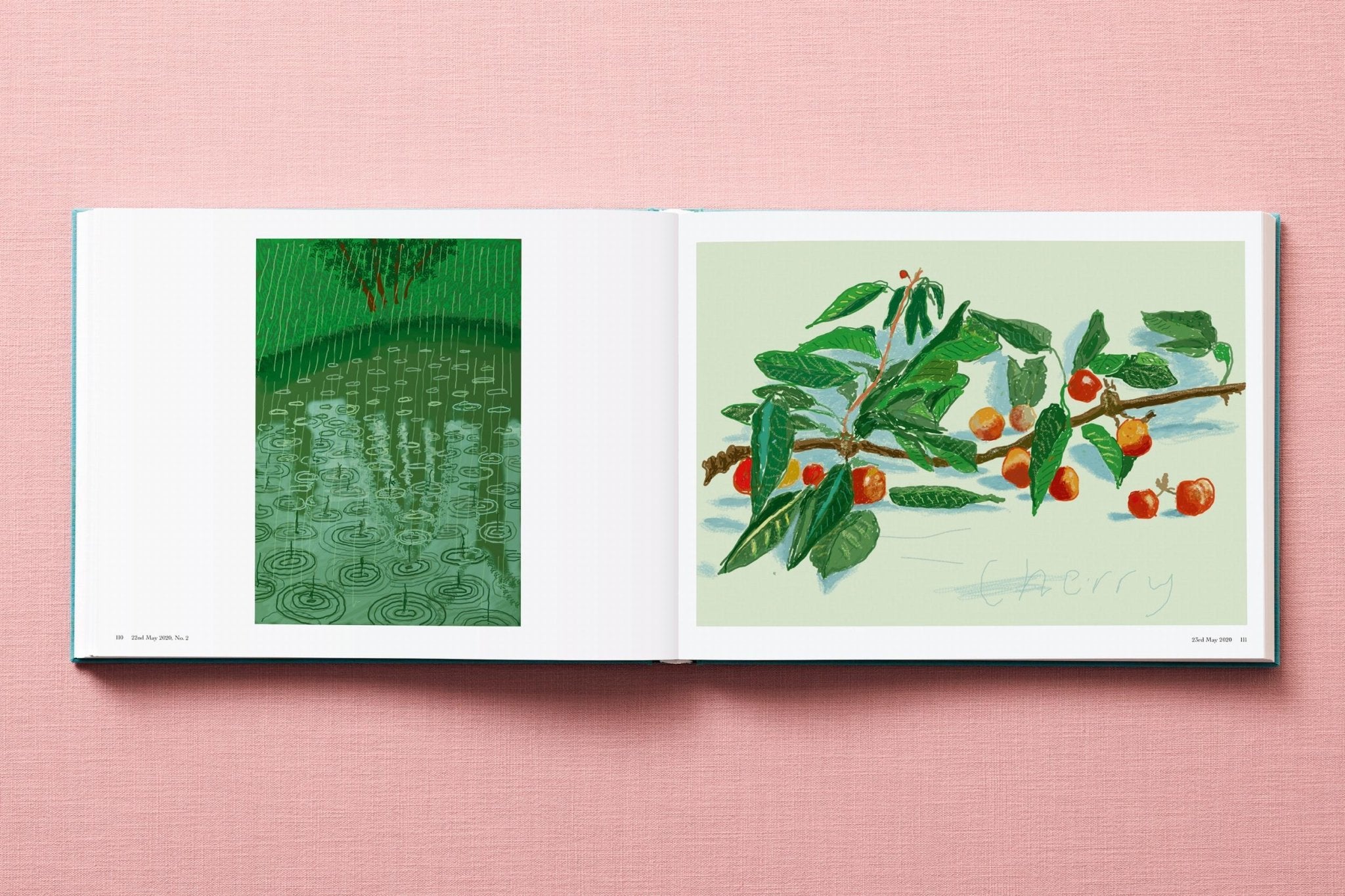 David Hockney. 220 for 2020 (English) - POPvault