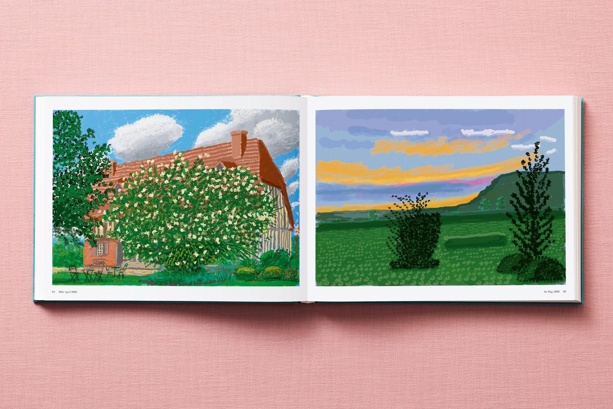 David Hockney. 220 for 2020 (English) - POPvault