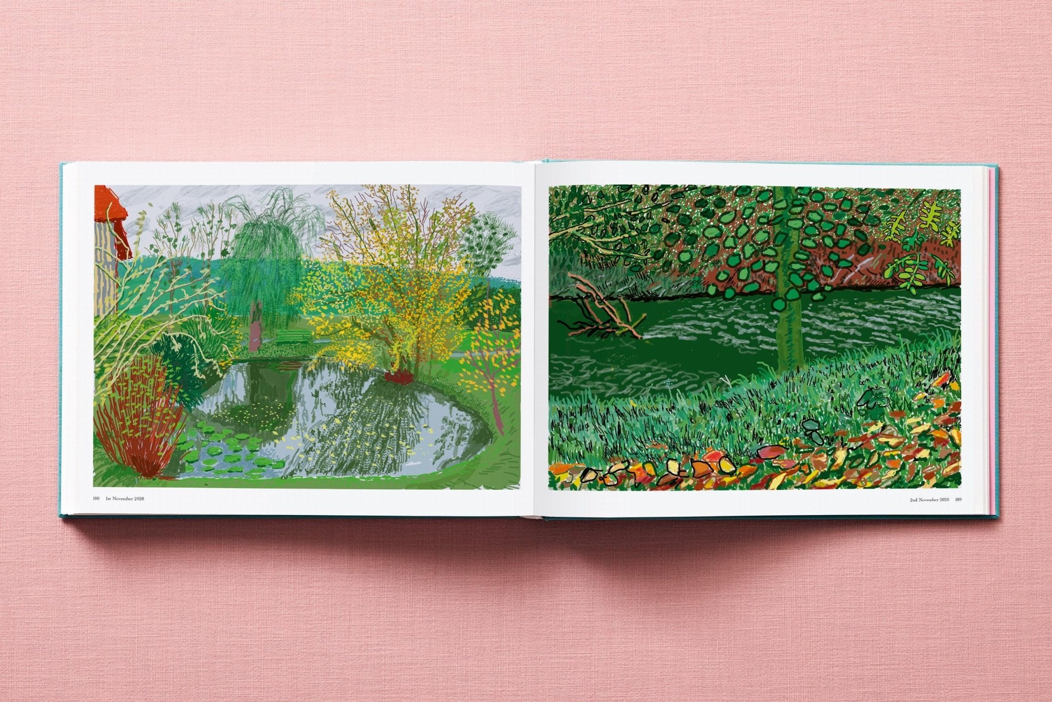 David Hockney. 220 for 2020 (English) - POPvault