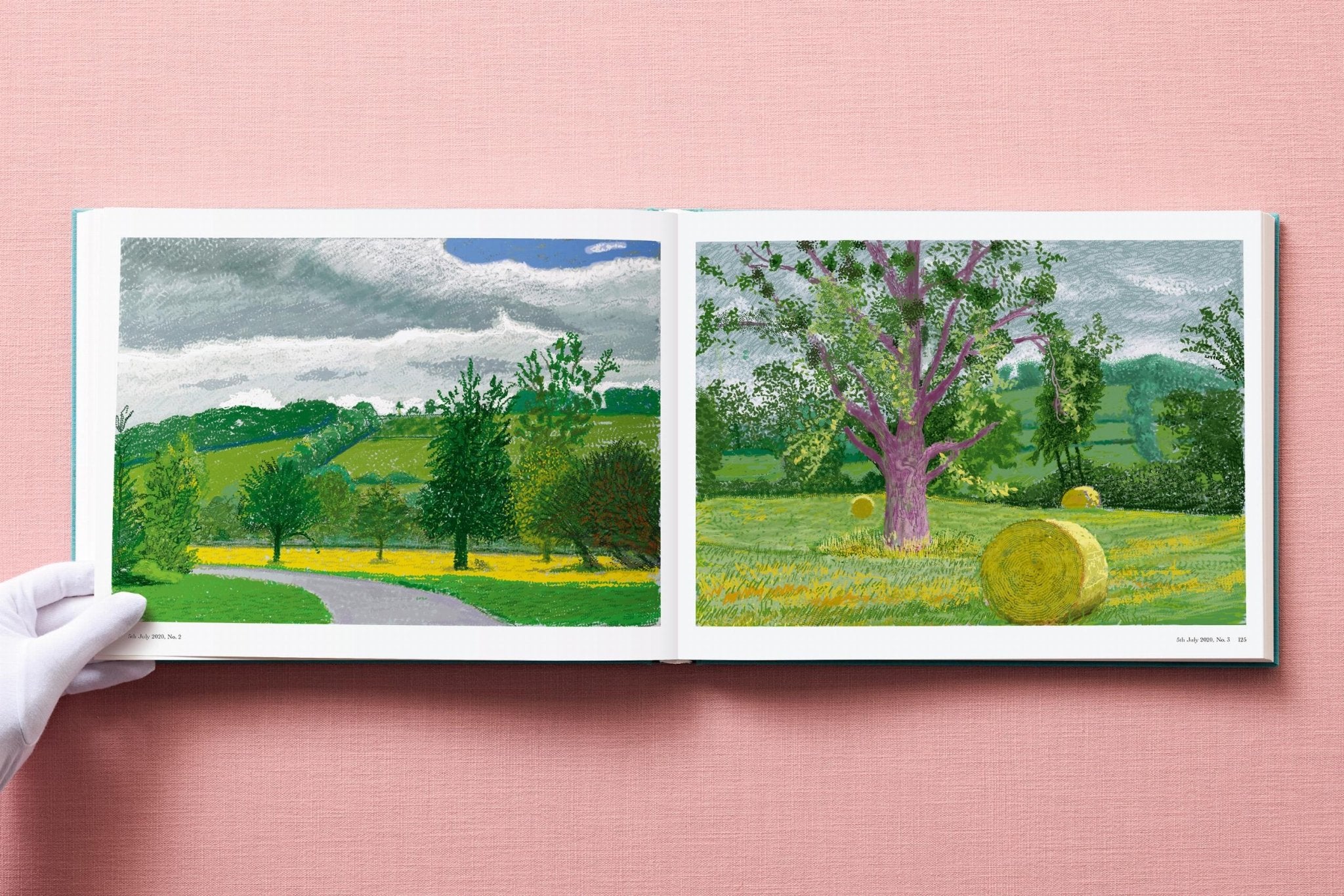 David Hockney. 220 for 2020 (English) - POPvault