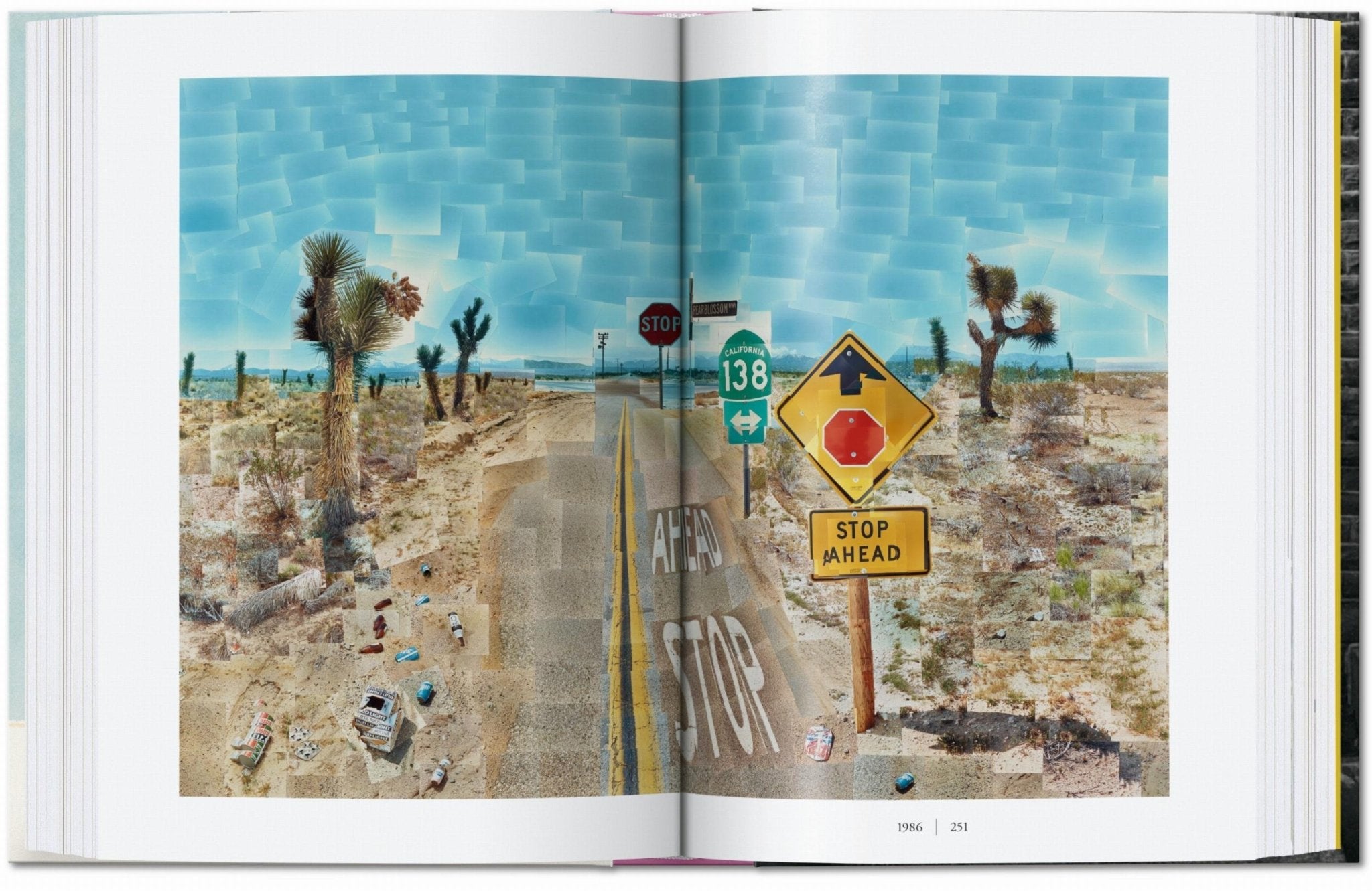 David Hockney. A Chronology. 45th Ed. (English) - POPvault