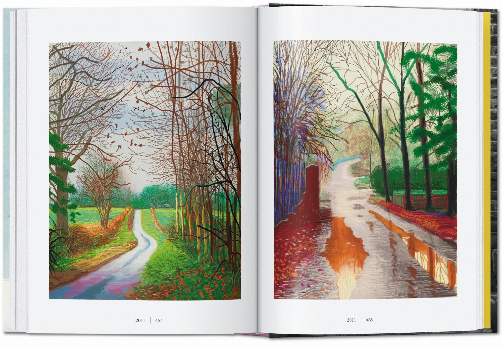 David Hockney. A Chronology. 45th Ed. (English) - POPvault