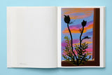David Hockney. My Window (English) - POPvault