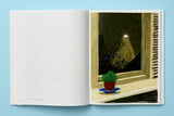 David Hockney. My Window (English) - POPvault
