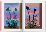 David Hockney. My Window (English) - POPvault