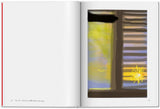David Hockney. My Window (English) - POPvault