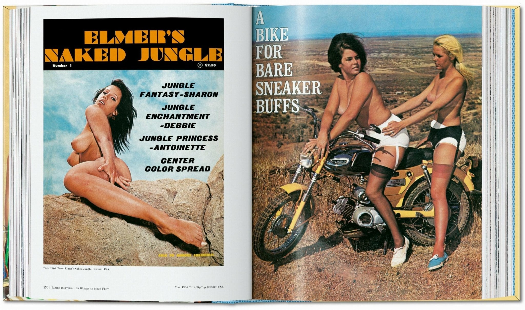 Dian Hanson’s: The History of Men’s Magazines. Vol. 4: 1960s Under the Counter (German, French, English) - POPvault