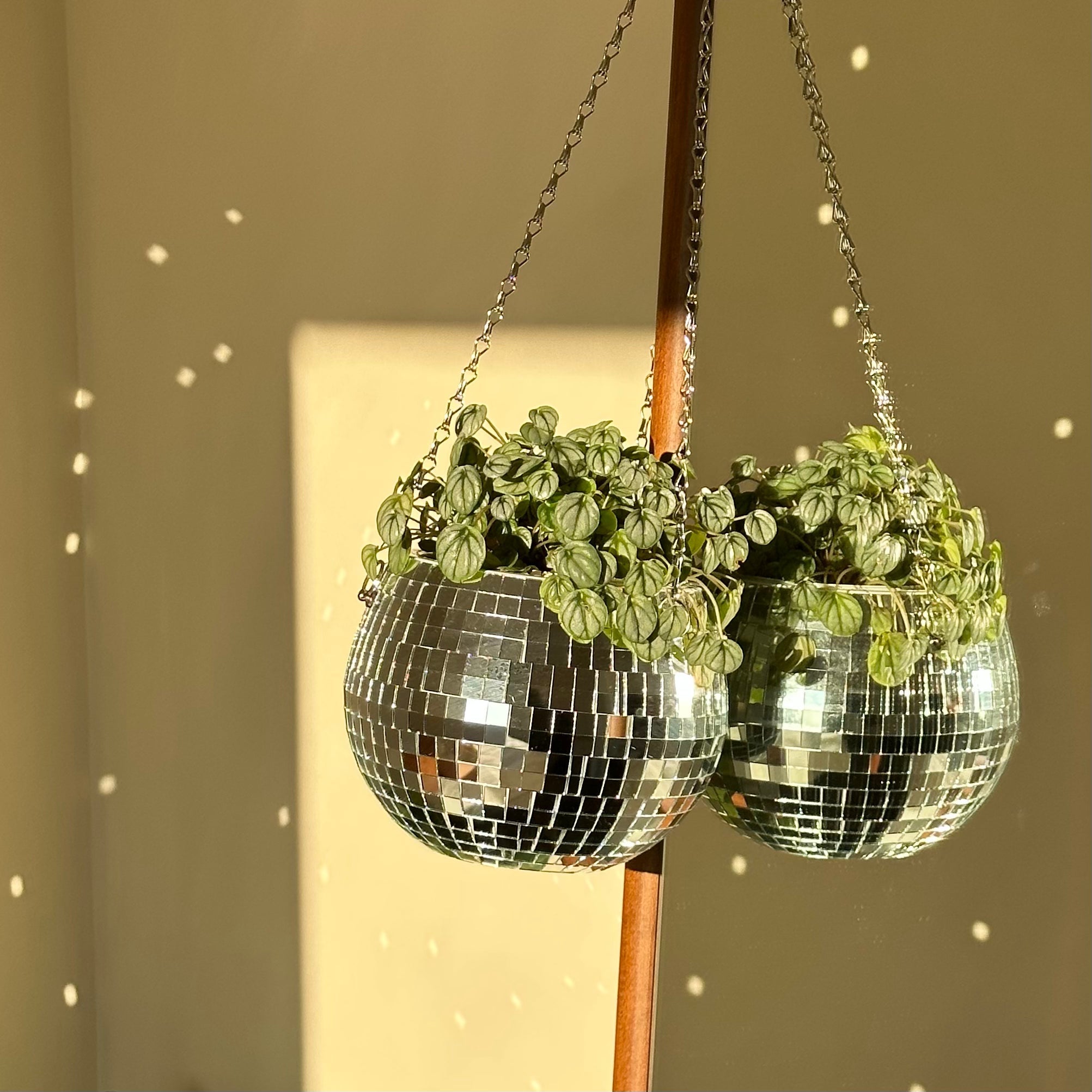 Disco Mirrored Ball Planter - POPvault