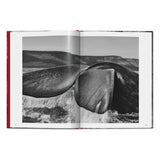 Sebastião Salgado. Genesis (English)