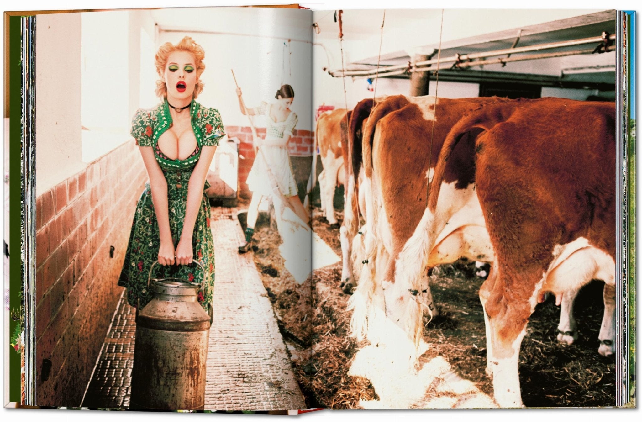 Ellen von Unwerth. Heimat (German, French, English) - POPvault