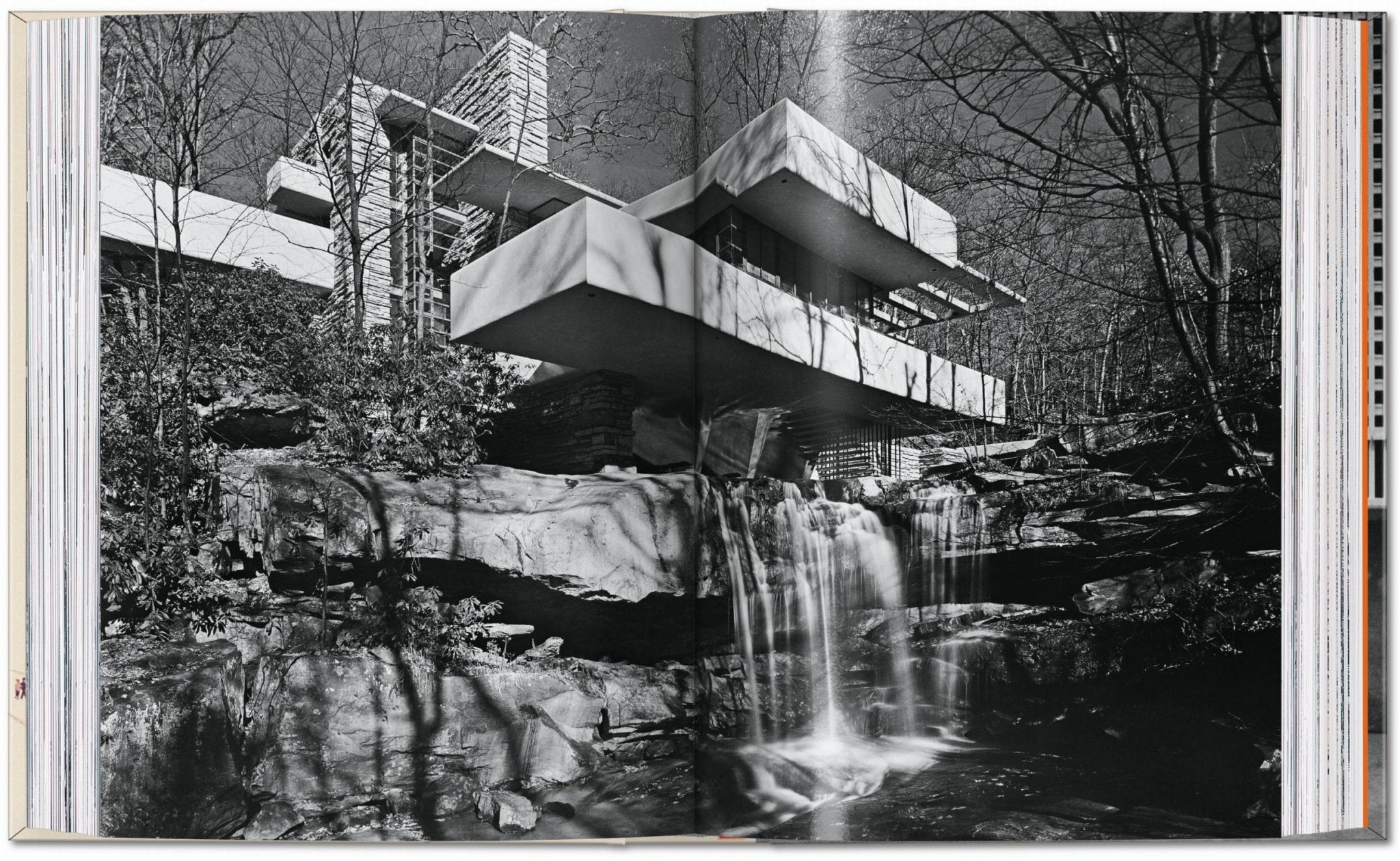Frank Lloyd Wright. 45th Ed. (English) - POPvault