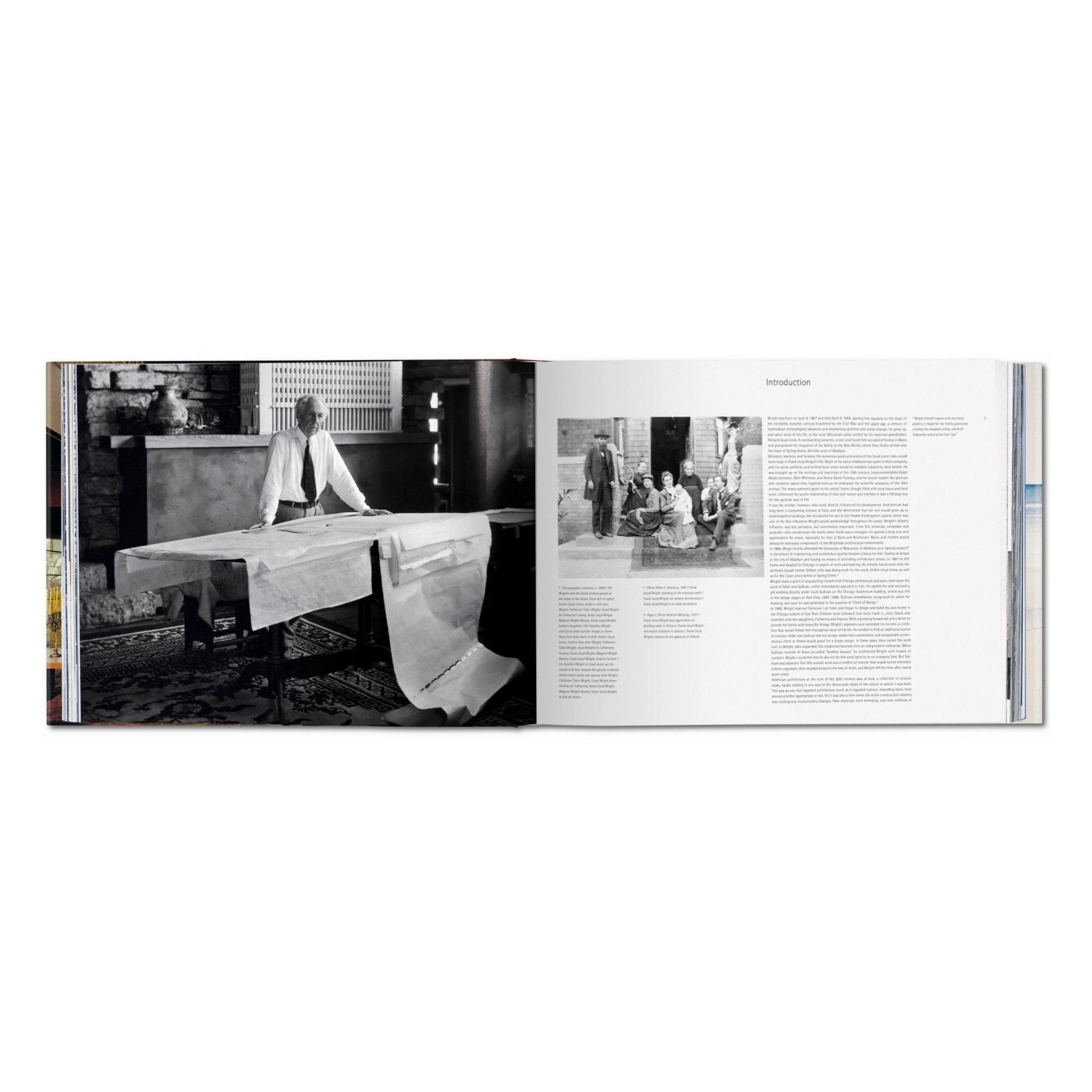 Frank Lloyd Wright (German, French, English)-POPvault