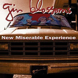 Gin Blossoms - New Miserable Experience [LP] Vinyl Record - POPvault