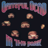 Grateful Dead - In The Dark [LP] Vinyl Record - POPvault