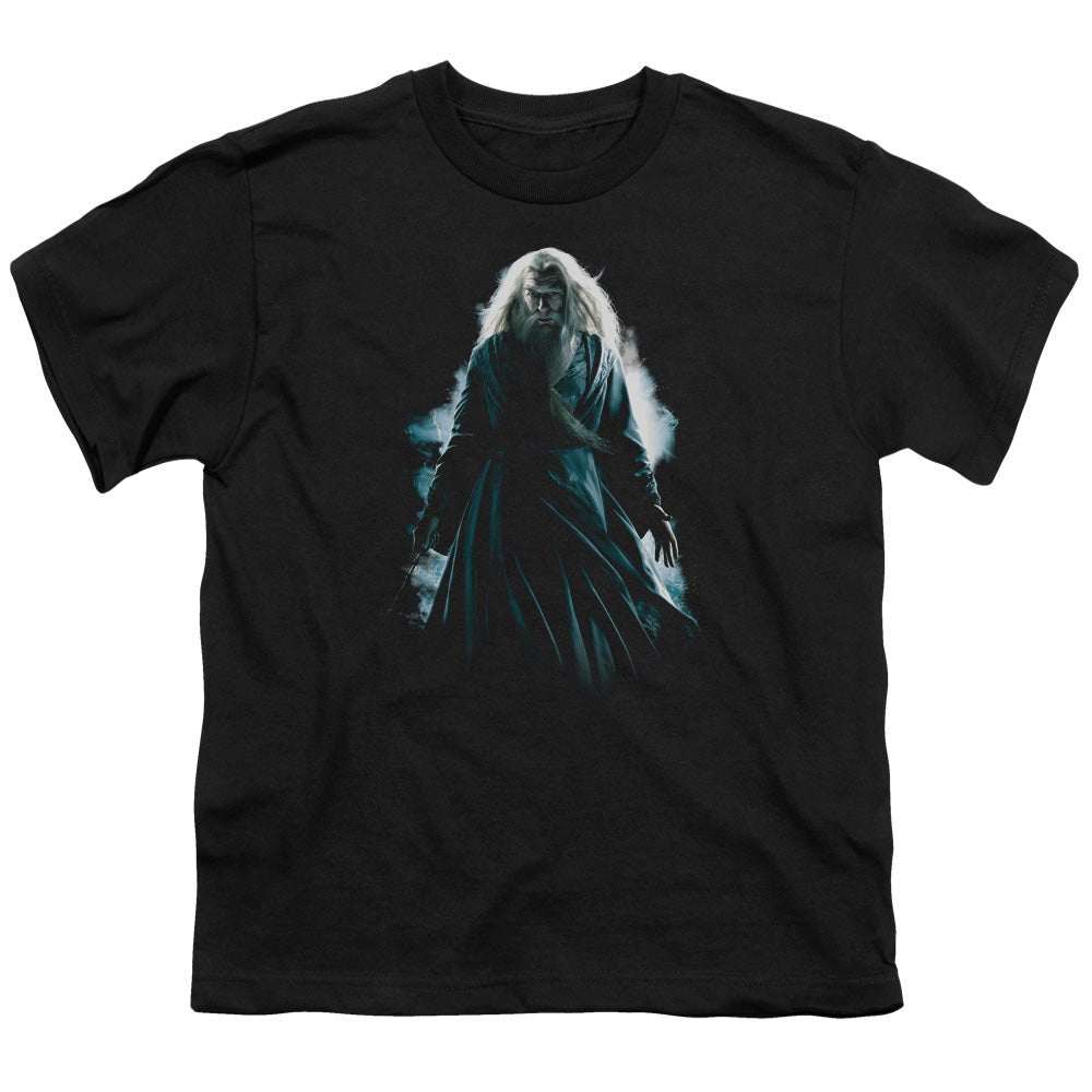 Harry Potter Dumbledore Burst Kids Youth T Shirt Black Officially Licensed - POPvault