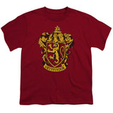 Harry Potter Gryffindor Crest Kids Youth T Shirt Cardinal Officially Licensed - POPvault