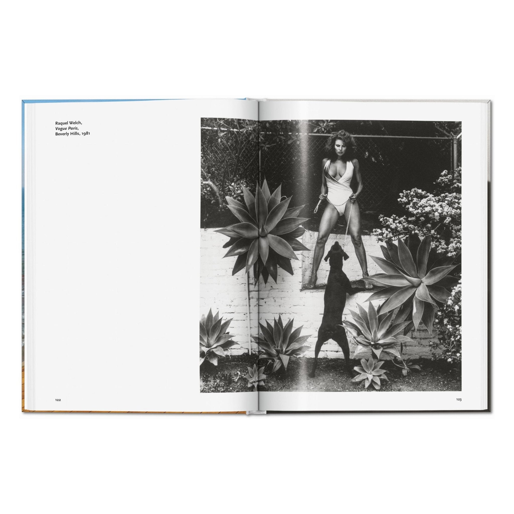 Helmut Newton (German, French, English)-POPvault