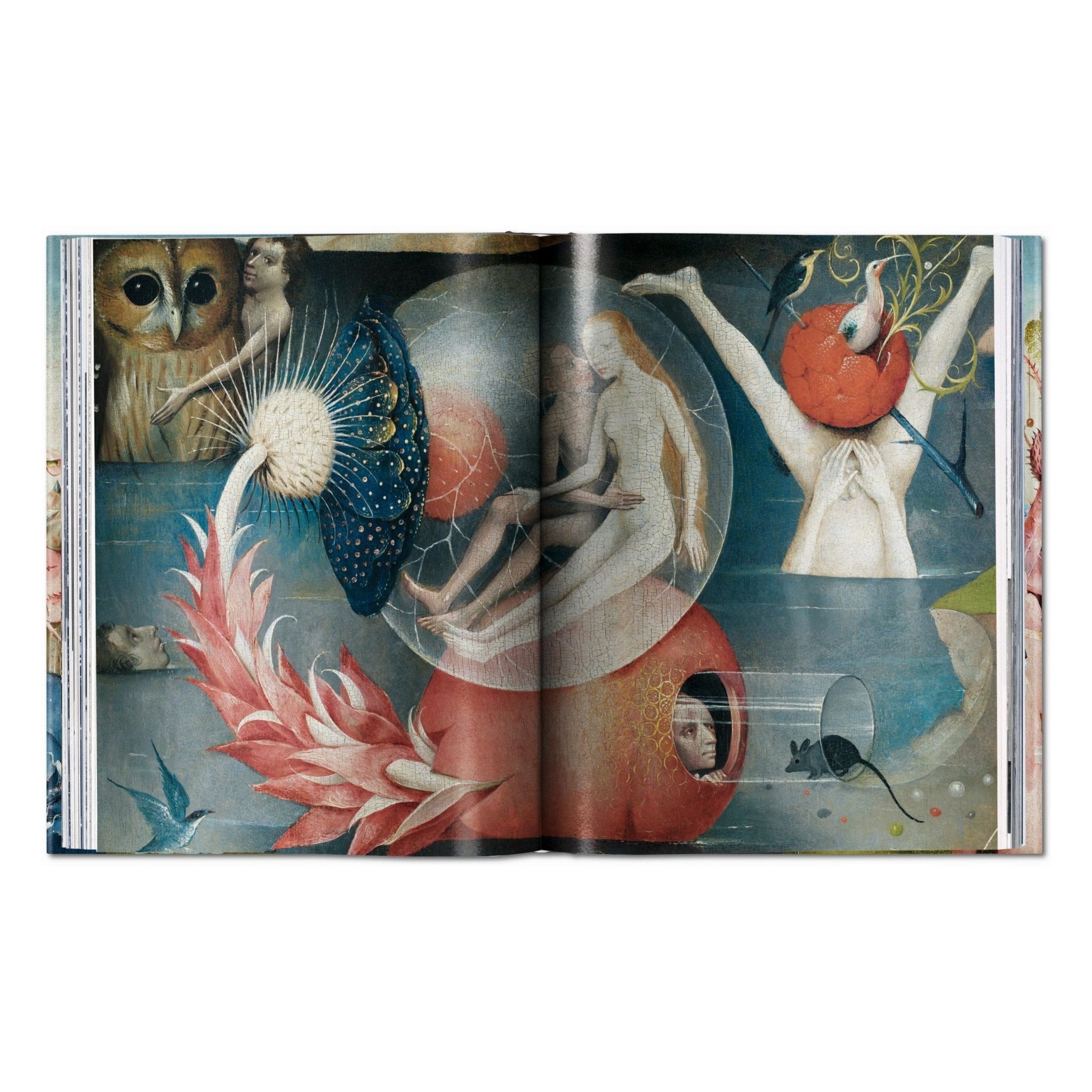 Hieronymus Bosch. The Complete Works (English)-POPvault
