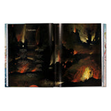 Hieronymus Bosch. The Complete Works (English)-POPvault
