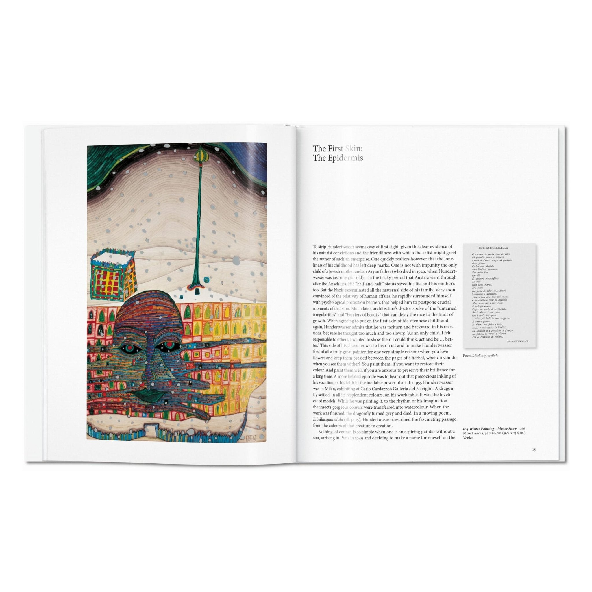 Hundertwasser (English)-POPvault
