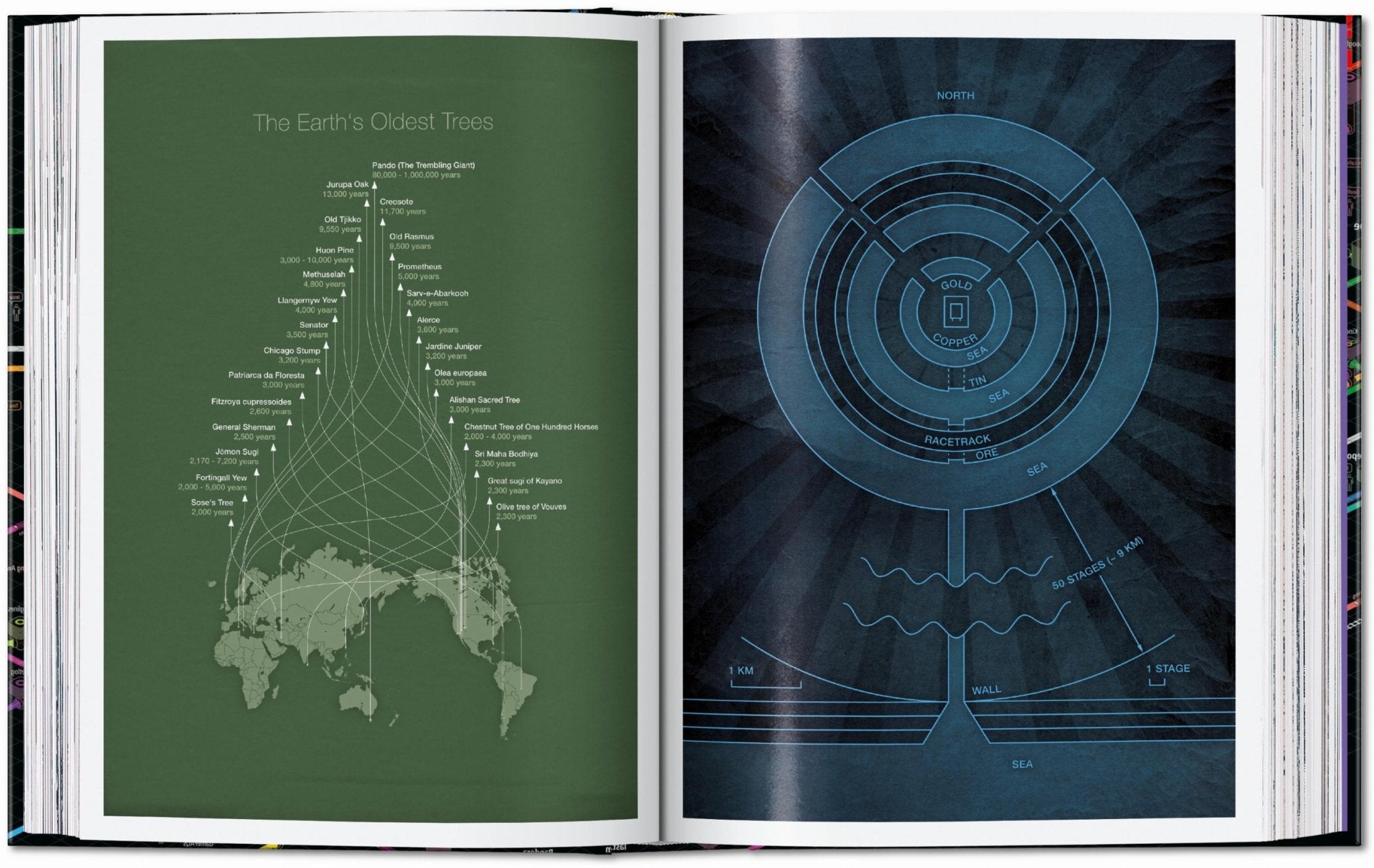 Information Graphics. 45th Ed. (English) - POPvault