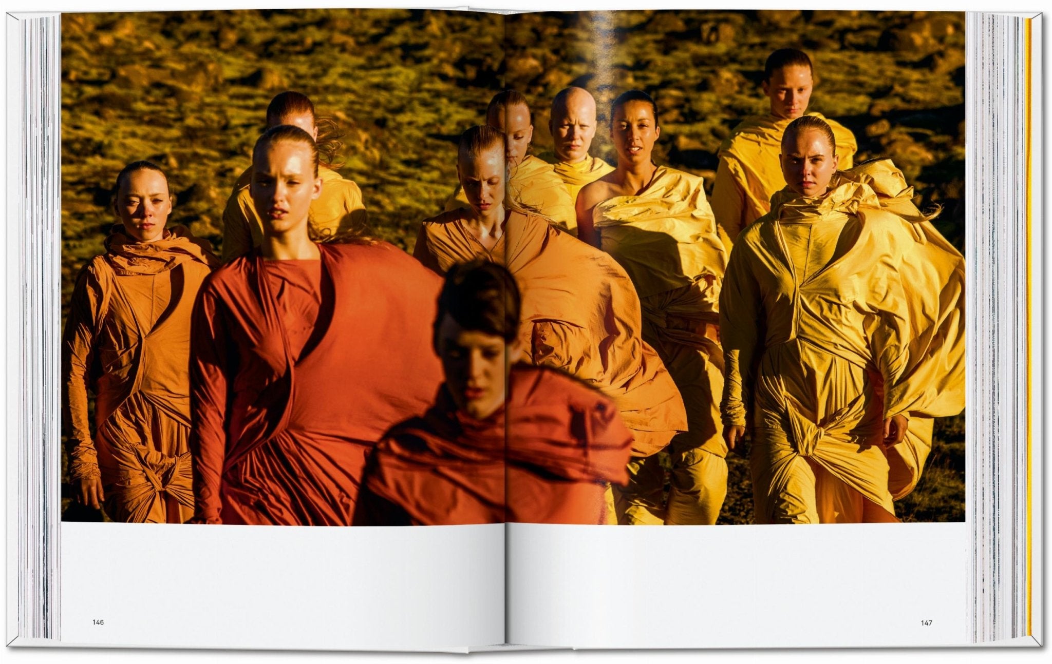 Issey Miyake. 45th Ed. (English) - POPvault