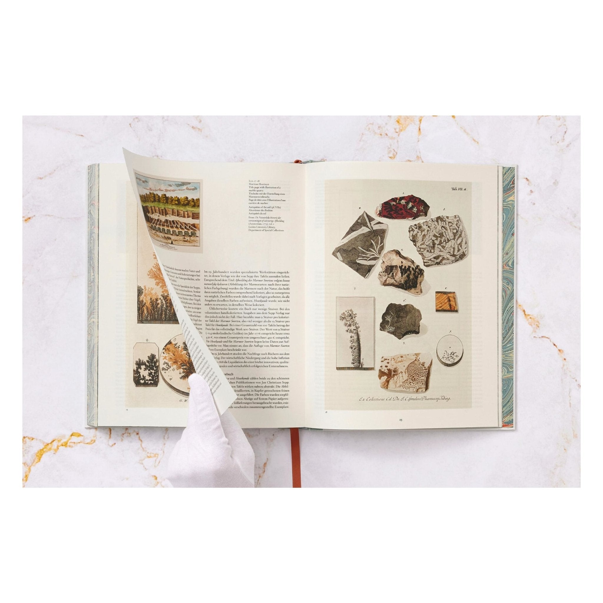 Jan Christiaan Sepp. The Book of Marble (German, French, English) (FFE)-POPvault