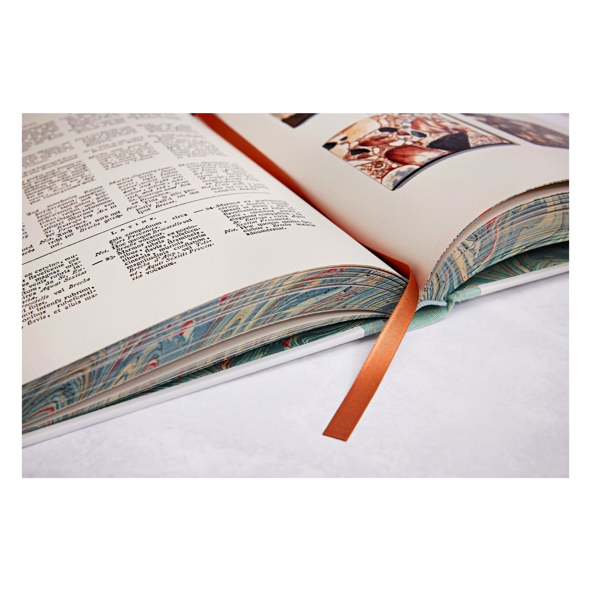 Jan Christiaan Sepp. The Book of Marble (German, French, English) (FFE)-POPvault