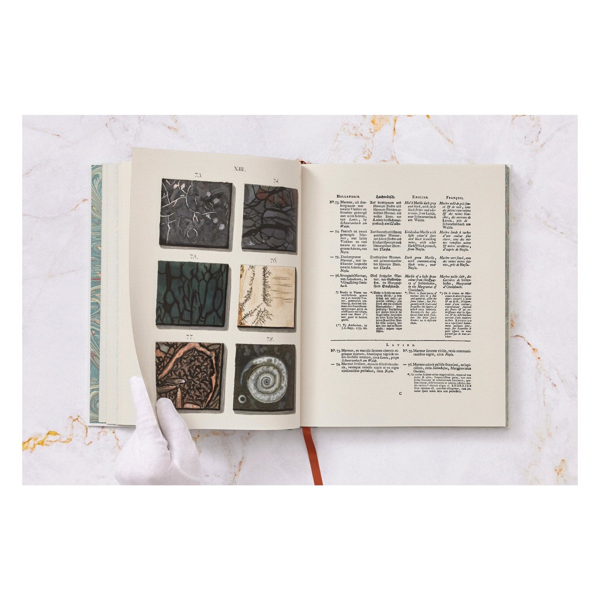 Jan Christiaan Sepp. The Book of Marble (German, French, English) (FFE)-POPvault