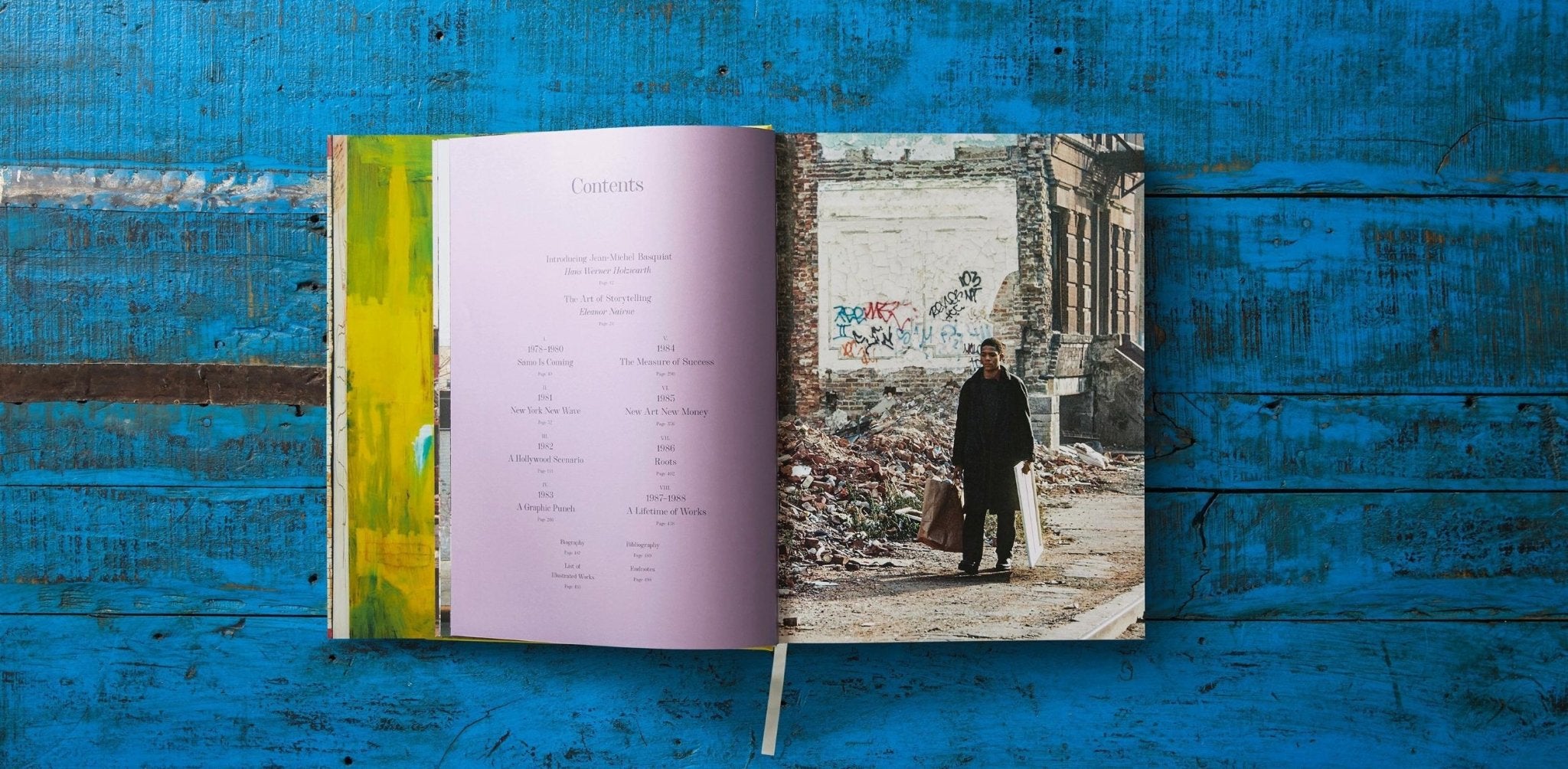 Jean - Michel Basquiat (English) - POPvault