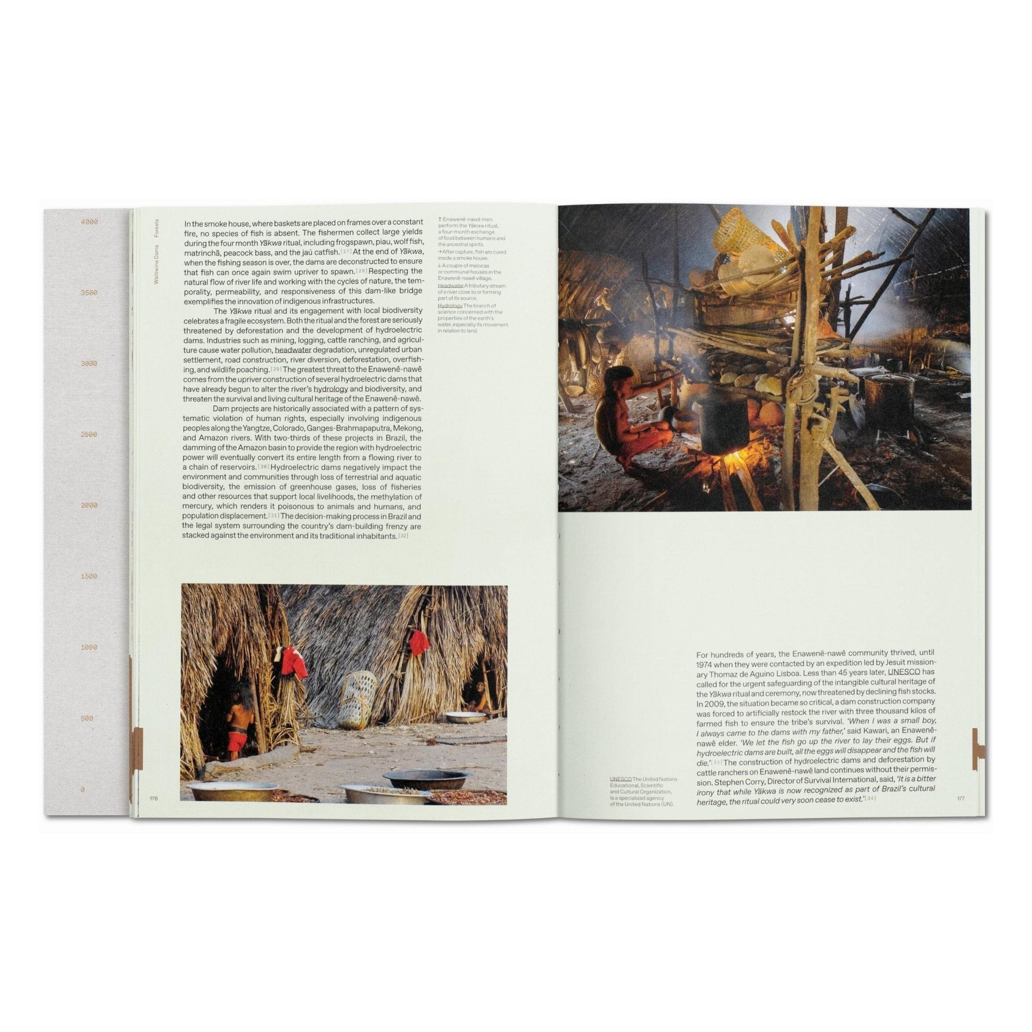 Julia Watson. Lo—TEK. Design by Radical Indigenism (English)-POPvault