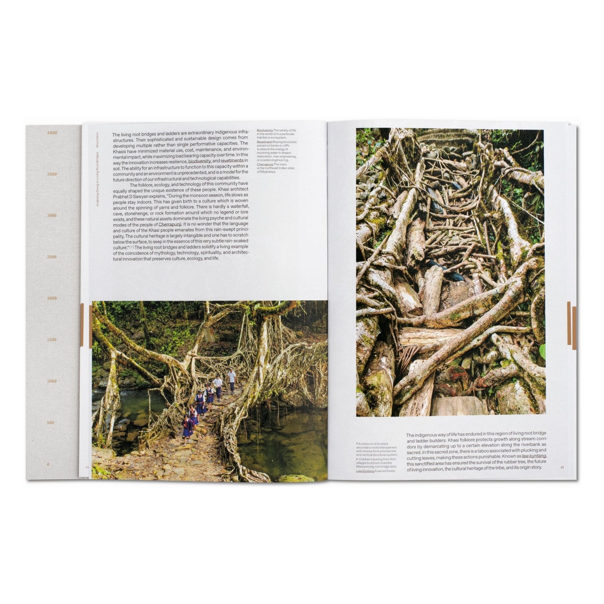Julia Watson. Lo—TEK. Design by Radical Indigenism (English)-POPvault