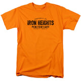 Justice League Iron Heights Mens T Shirt Orange Officially Licensed - POPvault