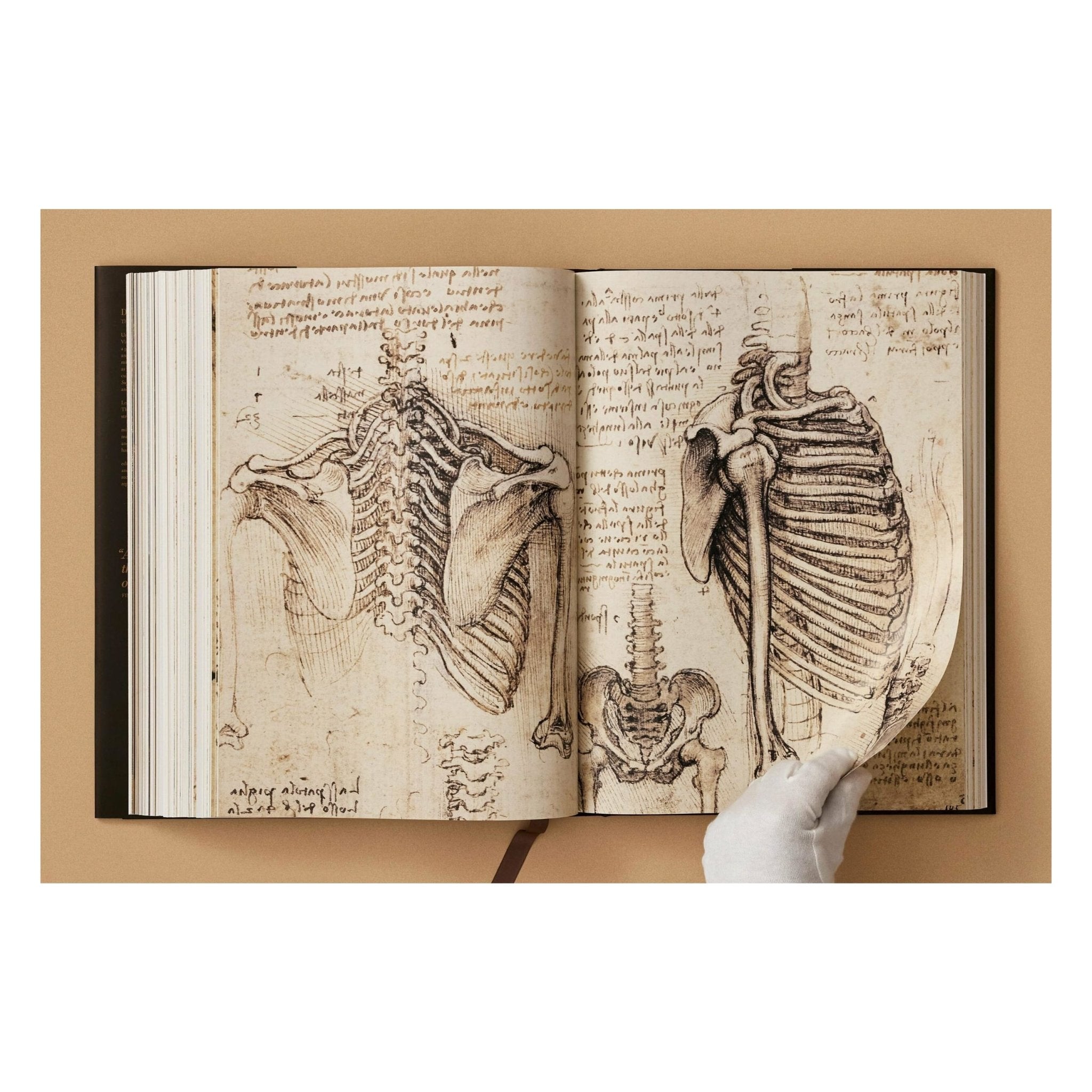 Leonardo. The Complete Paintings and Drawings (English)-POPvault