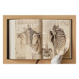 Leonardo. The Complete Paintings and Drawings (English)-POPvault