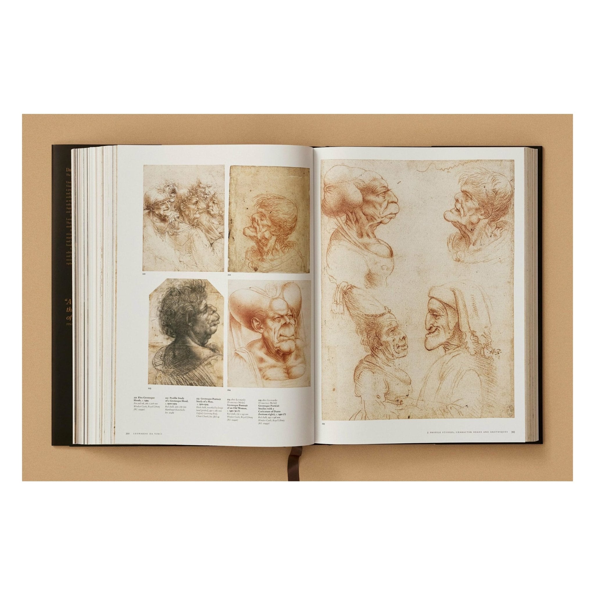 Leonardo. The Complete Paintings and Drawings (English)-POPvault