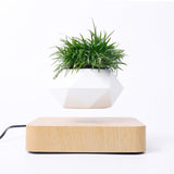 Levitating Rotation Flowerpot - POPvault