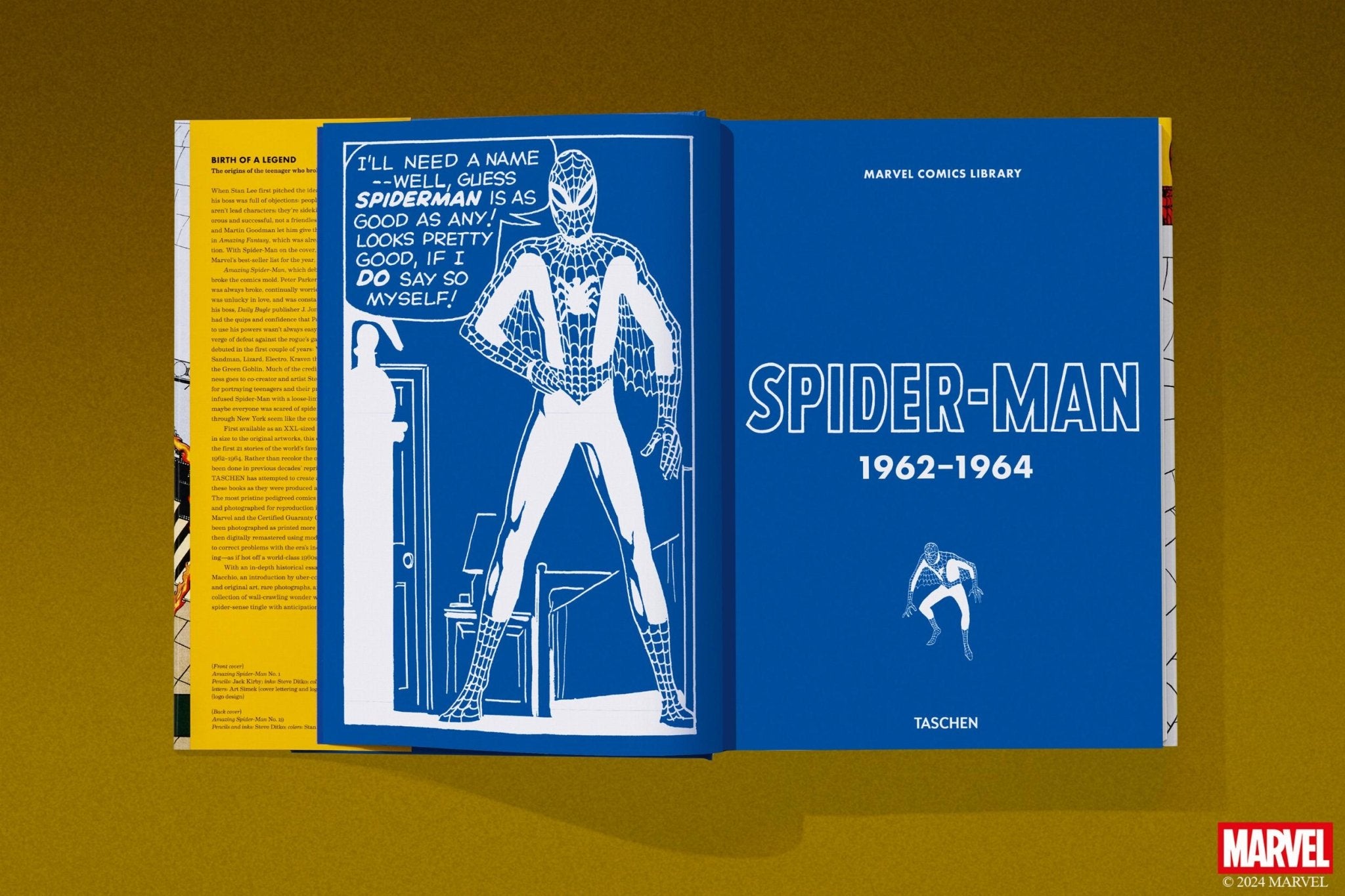 Marvel Comics Library. Spider - Man. 1962–1964 (English) - POPvault