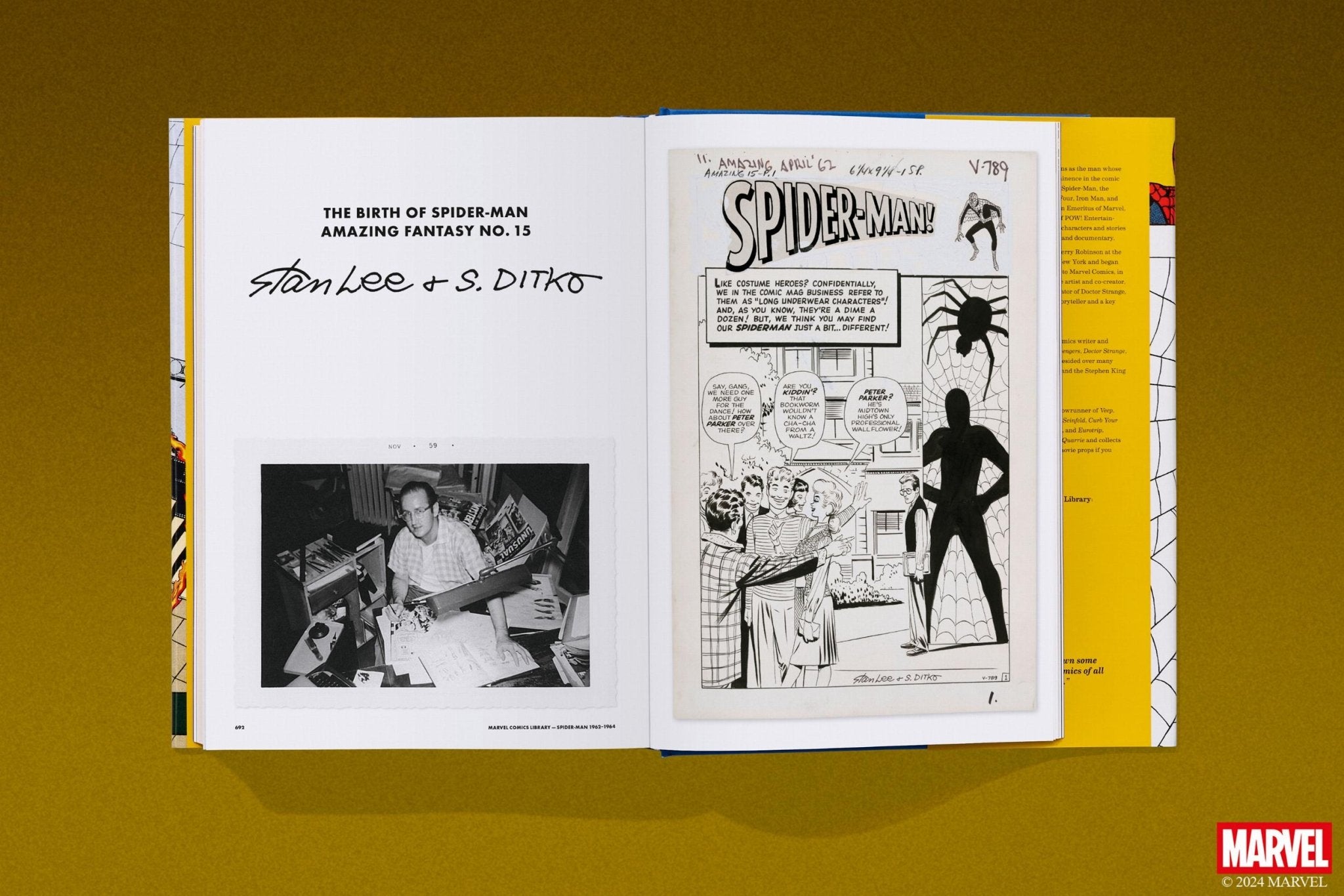 Marvel Comics Library. Spider - Man. 1962–1964 (English) - POPvault