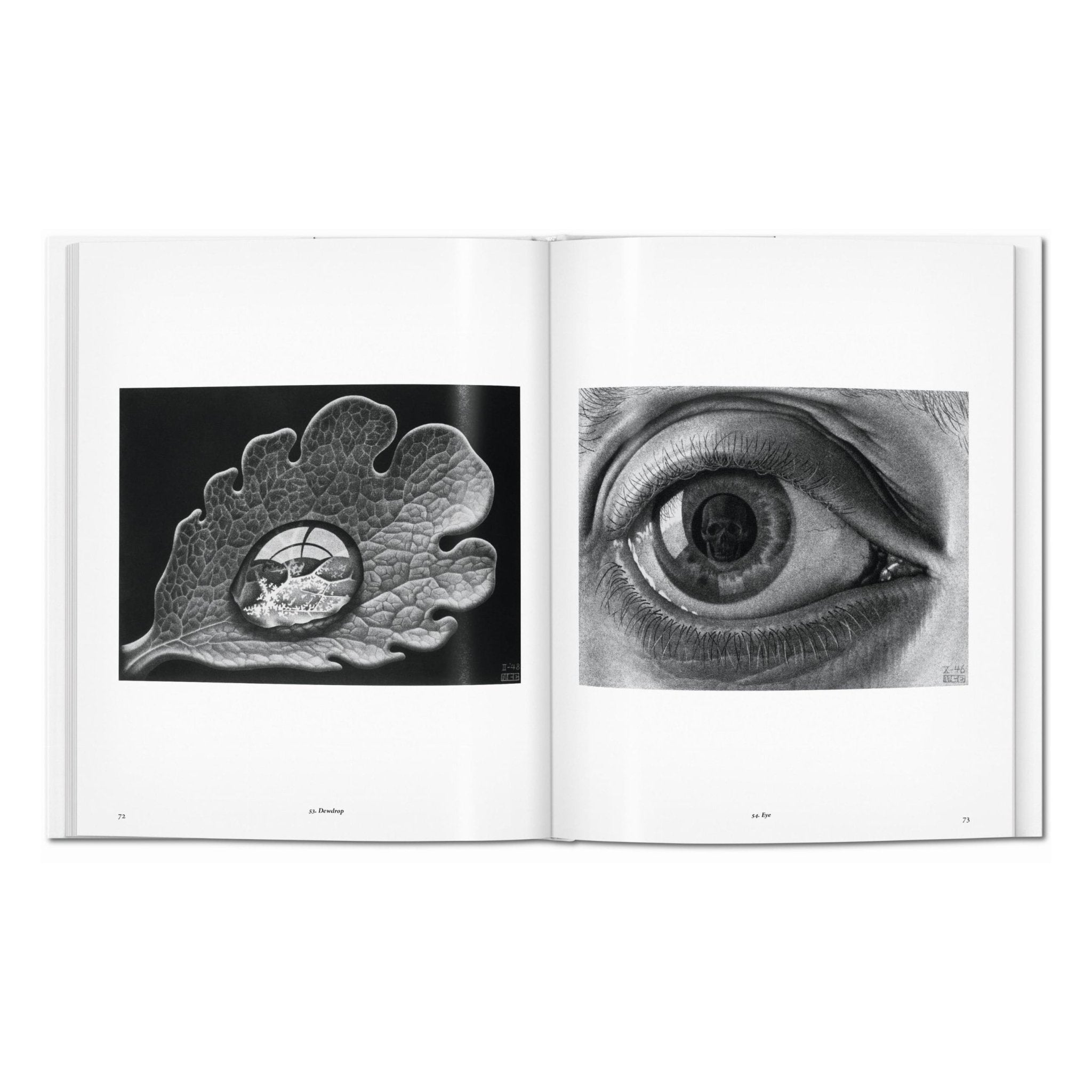 M.C. Escher. The Graphic Work (English)-POPvault